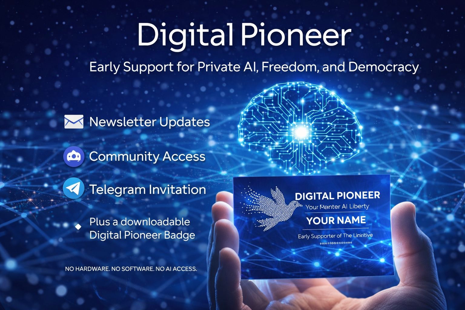Digital Pioneer